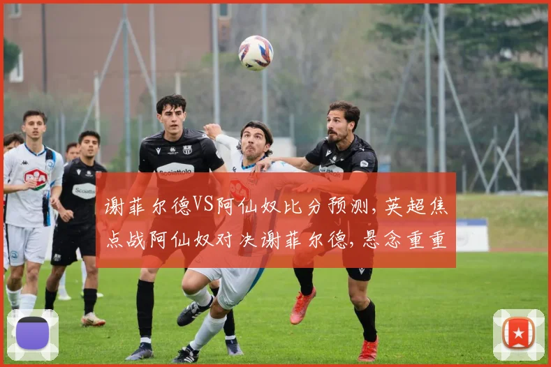 谢菲尔德VS阿仙奴比分预测,英超焦点战阿仙奴对决谢菲尔德,悬念重重