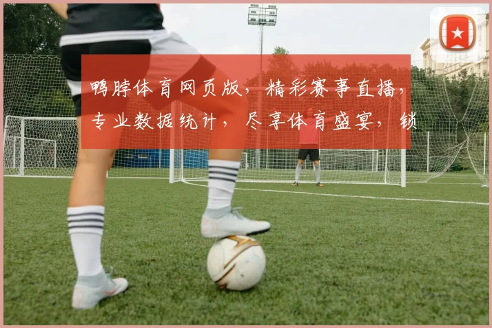 鸭脖体育网页版，精彩赛事直播，专业数据统计，尽享体育盛宴，锁定鸭脖体育