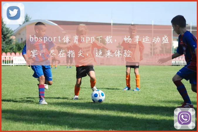 bbsport体育app下载，畅享运动盛宴，尽在指尖，速来体验